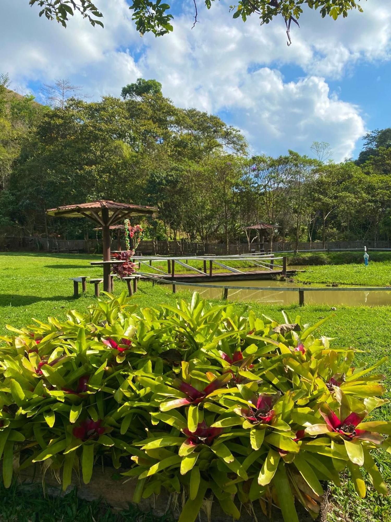 Recanto Da Roca Conservatória エクステリア 写真